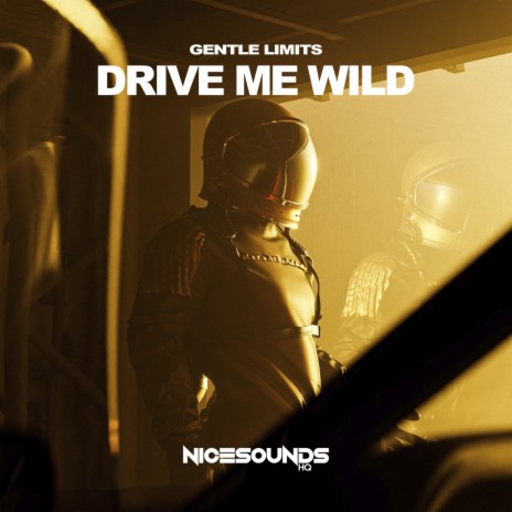 Drive Me Wild | Boomplay Music