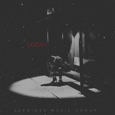 Sober ft. Priceless | Boomplay Music