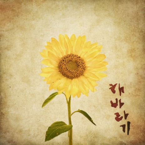 Sunflower (feat. Ji young Lee) | Boomplay Music