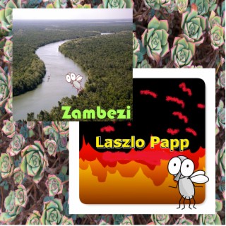 Zambezi