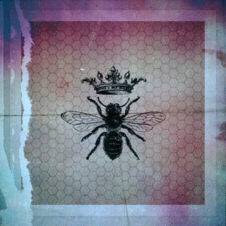 Queens Beehive EP