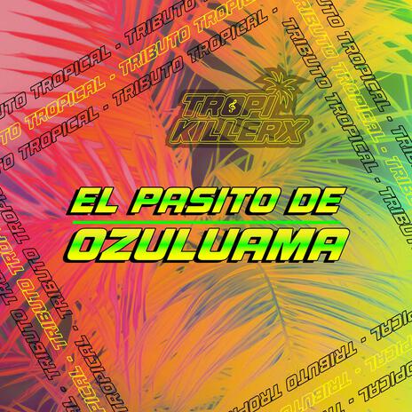 El Pasito de Ozuluama | Boomplay Music