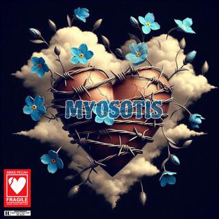 Myosotis