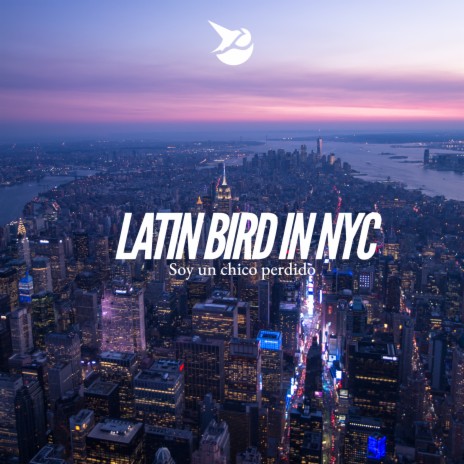 Latin Bird in NYC | Boomplay Music