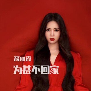 为甚不回家 lyrics | Boomplay Music