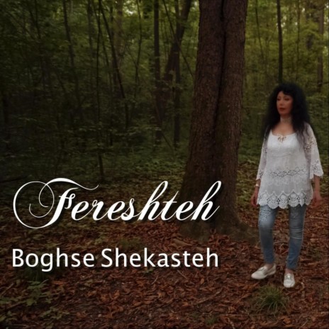 Boghse Shekasteh | Boomplay Music