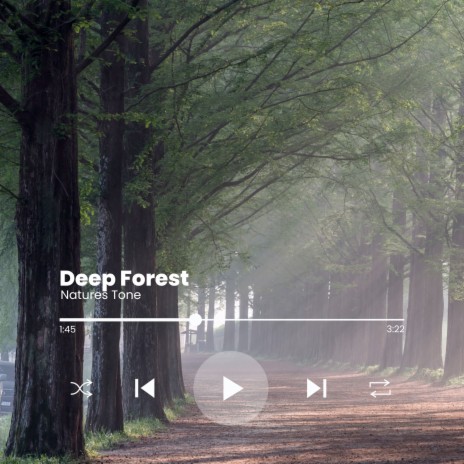 Deep Forest | Boomplay Music