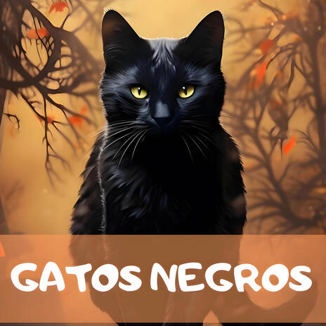 Gatos Negros