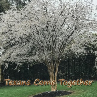 Texans Come Together by Frank Iarossi
