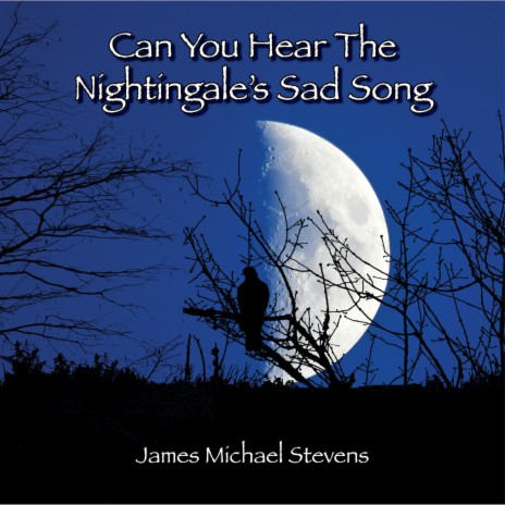 Can You Hear the Nightingale's Sad Song? | Boomplay Music