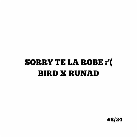 SORRY TE LA ROBE :'(ft. RUNAD | Boomplay Music