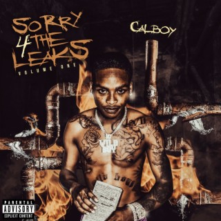 Sorry 4 The Leaks Vol. 1 | Boomplay Music