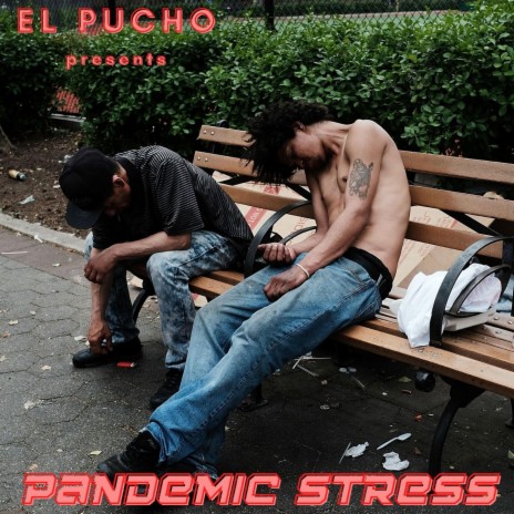 Pandemic Stress