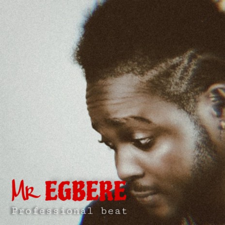 Mr Egbere 2.0 | Boomplay Music