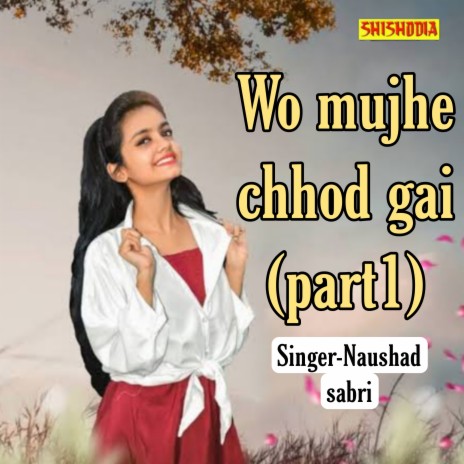 Wo Mujhe Chhod Gai Part 1 | Boomplay Music