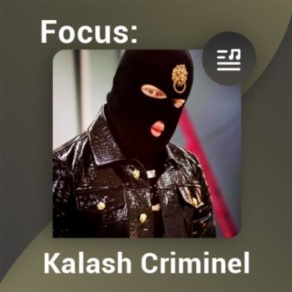 Focus: Kalash Criminel