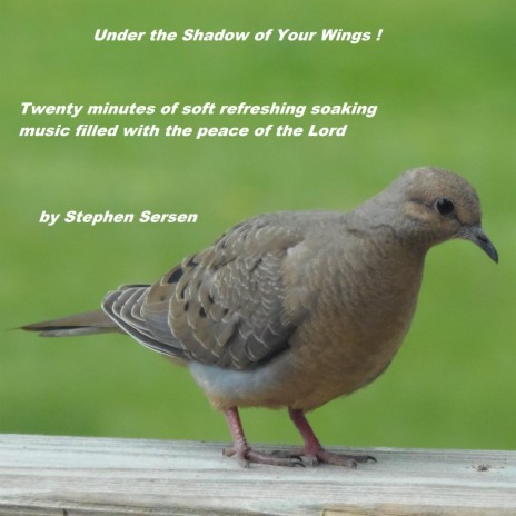 Under The Shadow of Your Wings