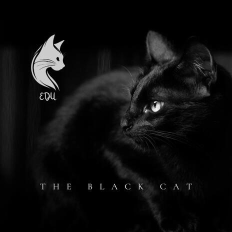 The Black Cat | Boomplay Music