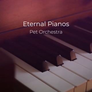 Eternal Pianos Pet Orchestra