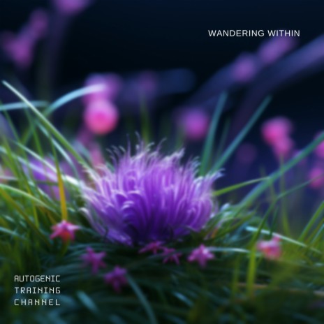 Wandering Within (Spa)