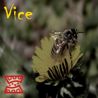 Vice lyrics | Boomplay Music