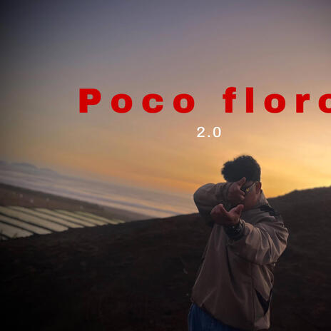 Poco floro | Boomplay Music