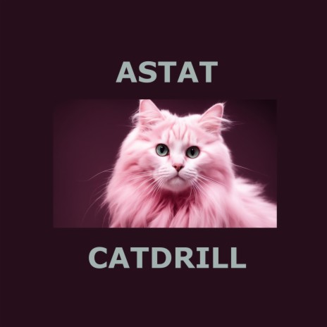 Catdrill | Boomplay Music