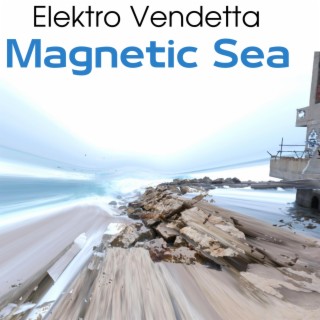 Magnetic Sea