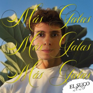 Más Gatas lyrics | Boomplay Music