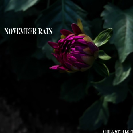 November Rain ft. Cidus & Emil Lonam | Boomplay Music