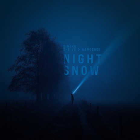 Night Snow ft. The Void Wanderer | Boomplay Music
