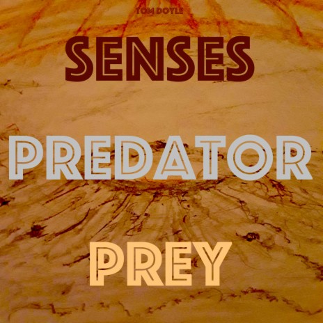 Senses Predator Prey | Boomplay Music