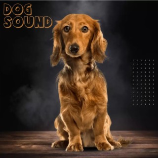 DOG SOUND