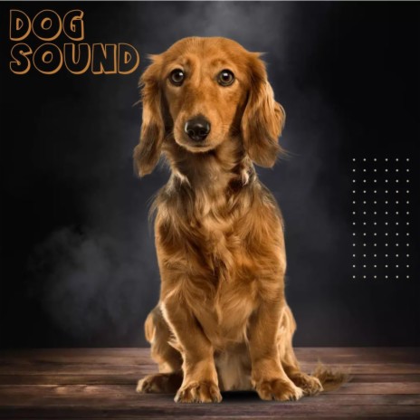 DOG SOUND | Boomplay Music