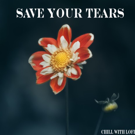 Save Your Tears ft. Cidus & Emil Lonam | Boomplay Music