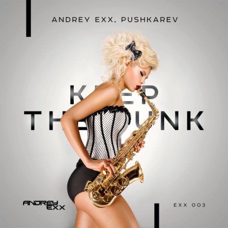 The Funk (Radio Mix) ft. Pushkarev | Boomplay Music