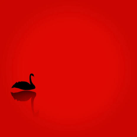 Cisne Negro