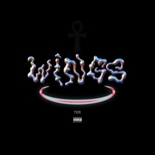 Wings (Interlude 1) 528Hz lyrics | Boomplay Music