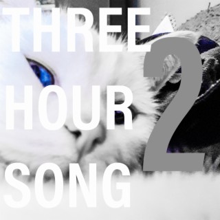 Three Hour Song, Vol. 2