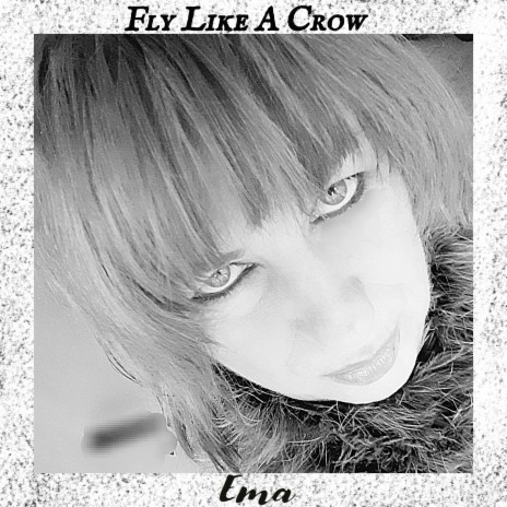 Fly Like a Crow | Boomplay Music