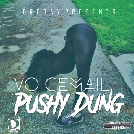 Pushy Dung | Boomplay Music