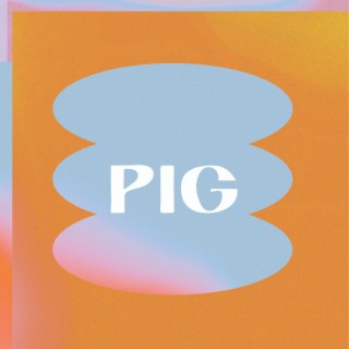 Pig lyrics | Boomplay Music