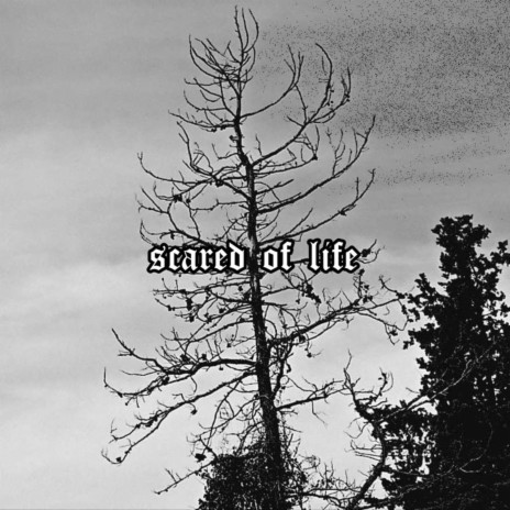 Scared Of Life | Boomplay Music
