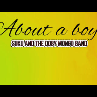 about a boy