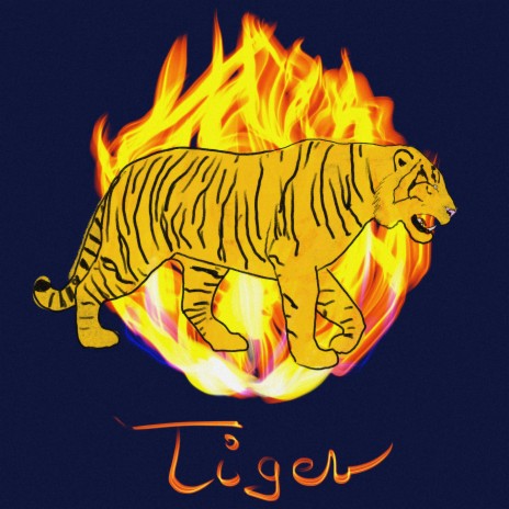 Tiger ft. Amine BEK | Boomplay Music