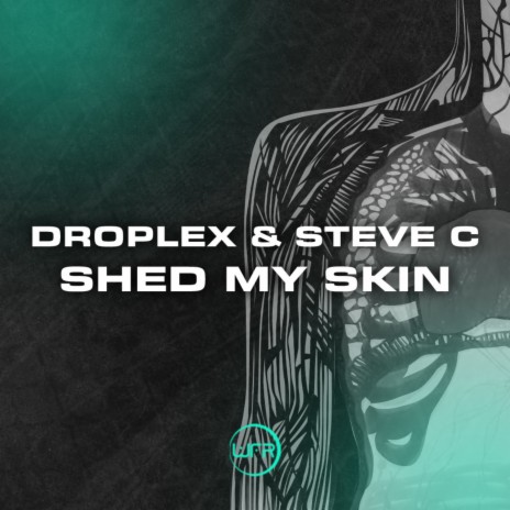 Shed My Skin (Original Mix) ft. Steve C | Boomplay Music