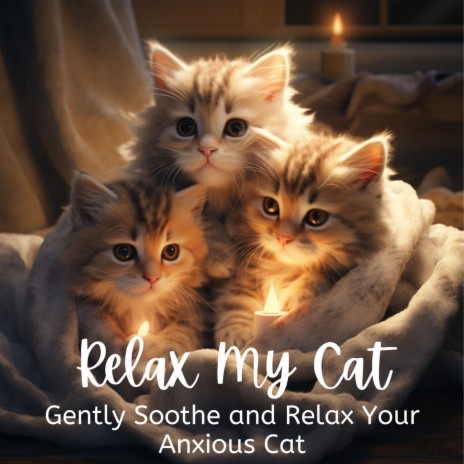 Soothing Solitude Symphony ft. Cat Music Dreams & Relax My Cat | Boomplay Music