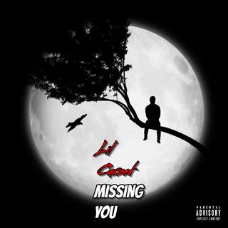 Missing You lyrics | Boomplay Music