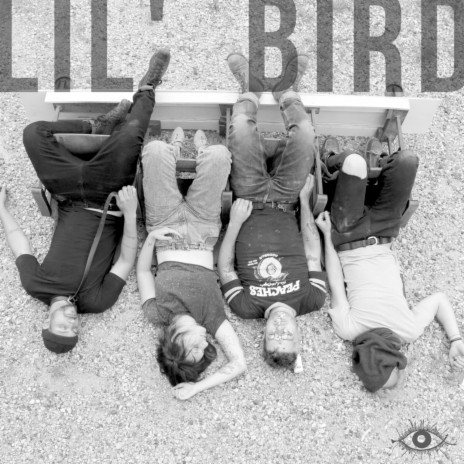 Lil' Bird | Boomplay Music