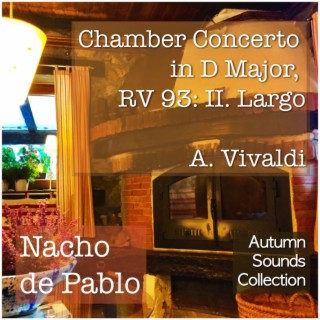 Chamber Concerto in D Major, RV 93: II. Largo